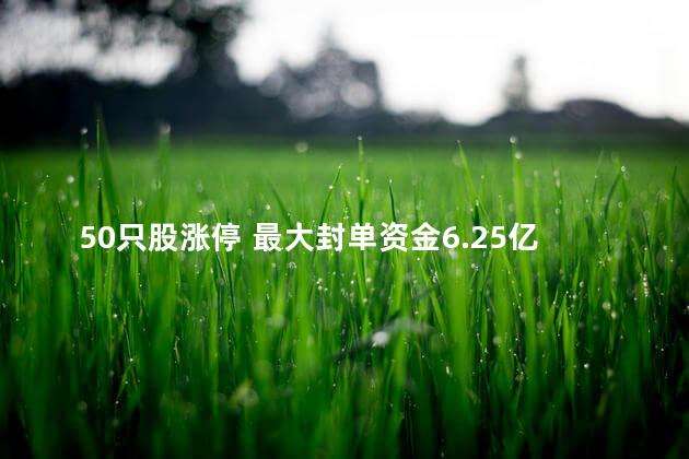 50只股涨停 最大封单资金6.25亿元